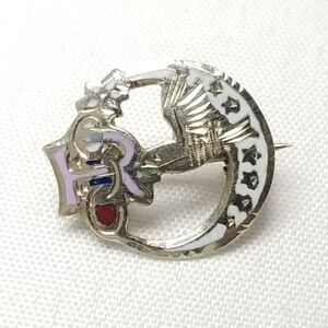 Vintage Daughters of Rebekah I OOF Enameled Pin Brooch, Crescent Moon, Bird